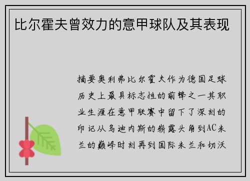 比尔霍夫曾效力的意甲球队及其表现